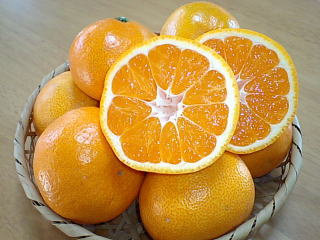 ���i�C���[�W1